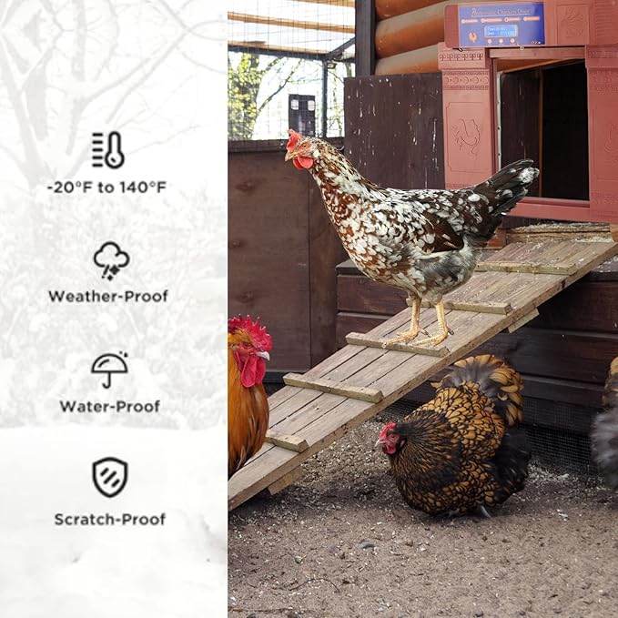 Solar Automatic Chicken Coop Door, Double Open Type Remote Control Timing Poultry Door, Light Sensing Solar Powered Chicken Coop Opener with Anti Pinch Safety for Duck Goose Farm, (Antique Bronze)