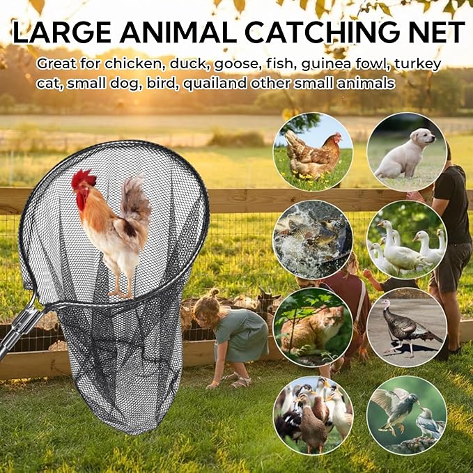 Catch Net, Small Animal Catcher Net for Chicken, Duck, Goose, Fish, Cat, Bird, Raccoon, Dog and Others(43"- 78" Handle with 20" Net Opening)