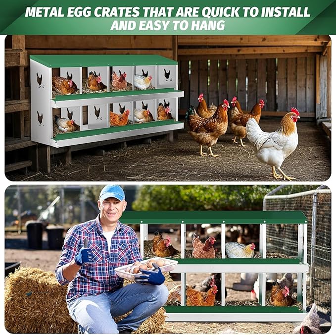 Metal Chicken Nesting Boxes, Heavy-Duty Galvanized Steel Egg Laying Box with 10 Compartments, Rustproof, Easy to Install & Clean, Wall-Mountable Design for Poultry Coops- Green Without Stand