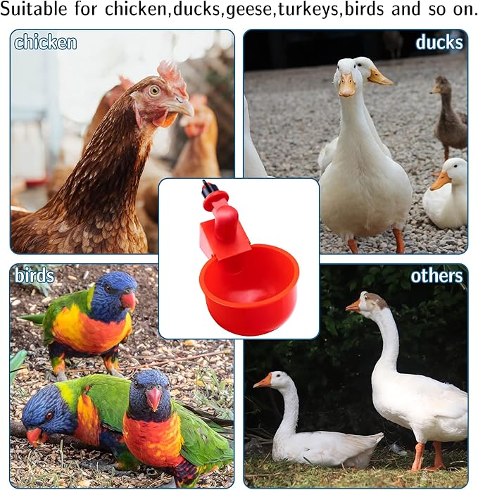 Pack 10 Chicken Waterer Cups, Chicken Feeder Cup for Chicken Duck Turkey Rabbit,3/8 Inch Thread Automatic Filling,Solution for Poultry Watering