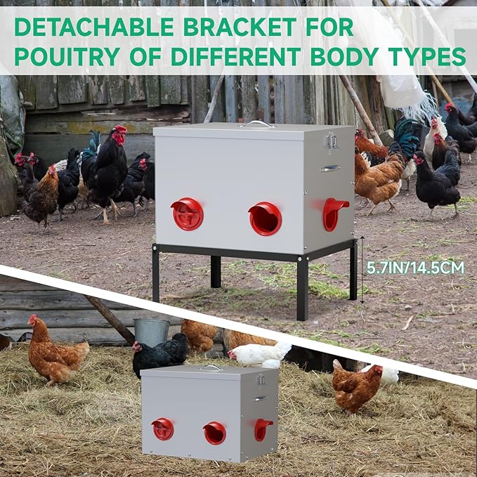 Automatic Chicken Feeder,6 Port Large Chicken Feeder with Raise 40 lb Capacity,Waterproof Galvanized Steel Poultry Feeder with Locking Lid for Chicken Coop