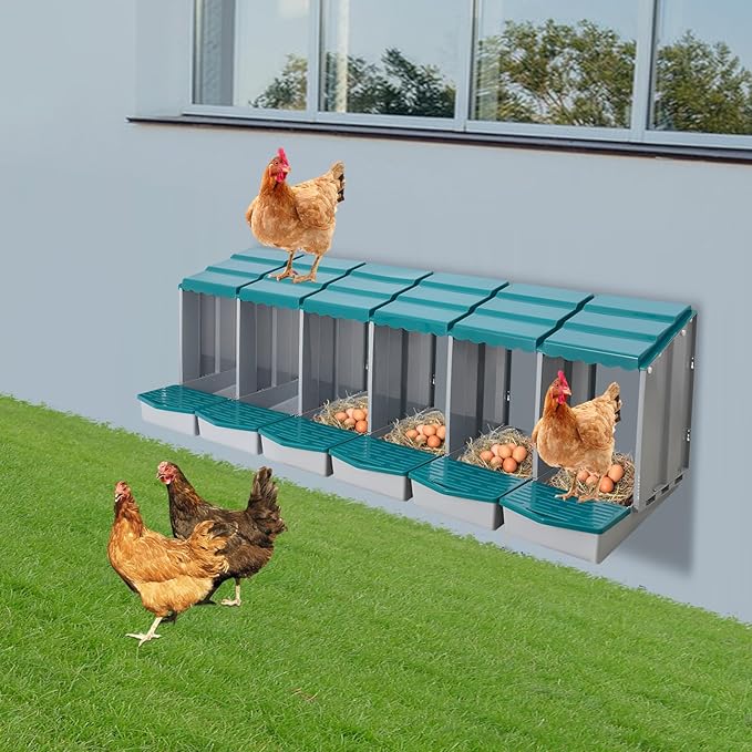 Chicken Nesting Boxes 6 Compartment PP Nesting Box with Inclined Nesting Boxes & Vented Holes Wall Mount Chicken Laying Boxes for Chicken Coop (Green)