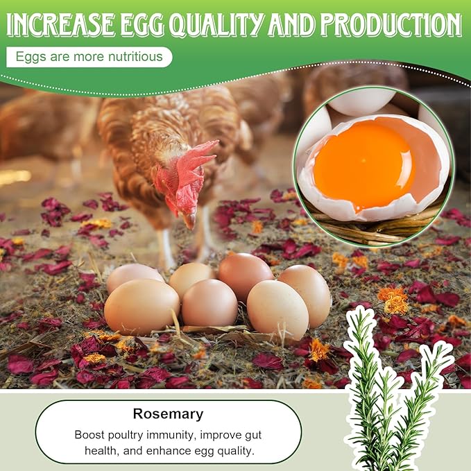 21Oz Chicken Nesting Herbs (1.3 Pounds), 6 Natural Dried Nesting Herbs for Chicken Coop, Aromatic Hen Feed Supplies in Vacuum Packaging for Nest Box/Dust Bath
