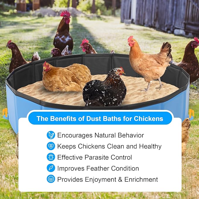 Chicken Dust Bath Tub (32'' D * 8'' H), Foldable Design, Extra-Tough PVC, Dust Bath for Chickens, Chicken Coop Lime,Chicken House Cleaner Container,Essential Chicken Coop Accessory（Blue）