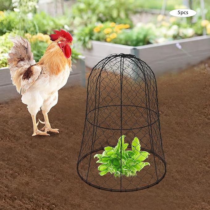 YIYIBYUS Garden Chicken Wire Cloche, 12.99" Diameter x 15.75" Height Plant Protective Covers Metal Cage Plant Protector Cover for Gardens, Parks, Yards, Balconies, Farms (5pcs, Black)