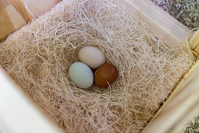 My Favorite Chicken Nesting Box Pads for Chickens - Accessories for Hens, Chicken Coops and Laying Eggs - Square Liners Fit in Your Coop - Natural Fiber Material Bedding Mats