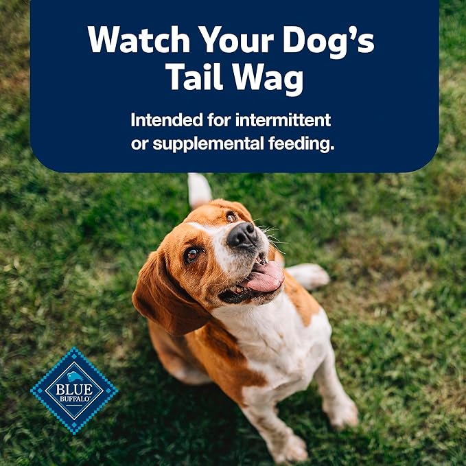 Blue Buffalo Stix Natural Soft Moist Dog Treats Beef Recipe Bag