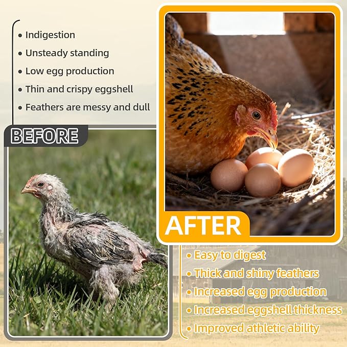 Crushed Oyster Shell for Chickens – 15oz Natural Calcium Supplement for Laying Hens, Backyard Flocks & Poultry, Supports Eggshell Quality for Chickens, Ducks and Quail