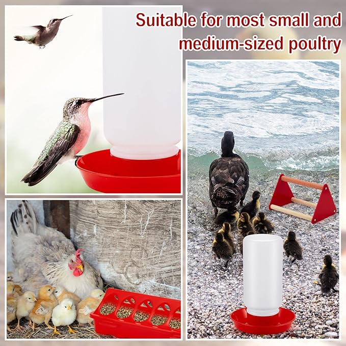 Patelai 12 Pcs Chick Feeder and Waterer Kit Feeding Supplies with Mini Perch Chicken Starter Kit for Coop and Brooder for Small Poultry Ducks Quail