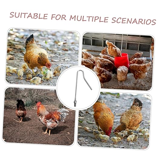 BESPORTBLE Chicken Catcher Hook Poultry Handling Tool for Chicken and Duck Capture Humane Design Versatile Use Farms and for Poultry Management