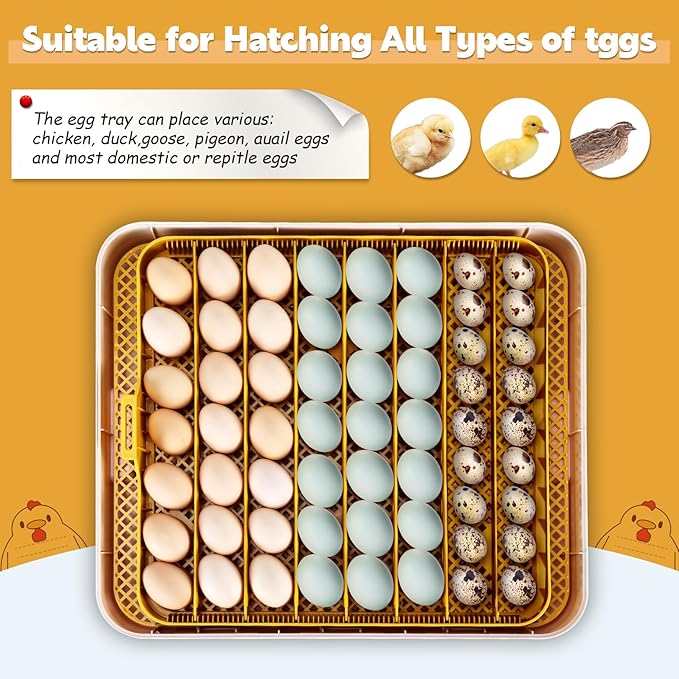 Sailnovo Incubators for Hatching Eggs 56 Egg Incubator with Auto Egg Turning and Auto Humidification, Temperature Control, Incubator for Chicken Duck Quail Eggs, Perfect for Lab School Farm