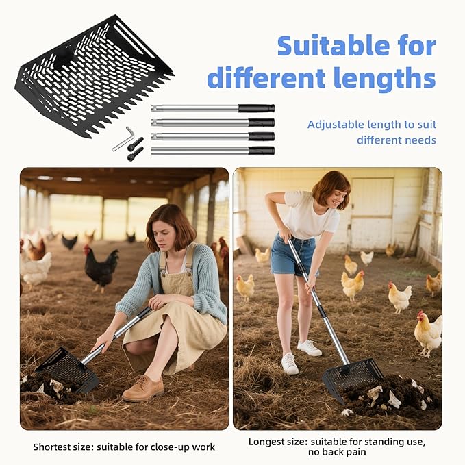 Chicken Poop Scooper & Rake 2-in-1, 4 in 1 Stainless Steel Handle 12 in Chicken Coop Pooper Shovel (23 to 62"), for Animal Sheds, Trash Scoop with Ergonomic Handle, Scooper Sand Sifting Shovel