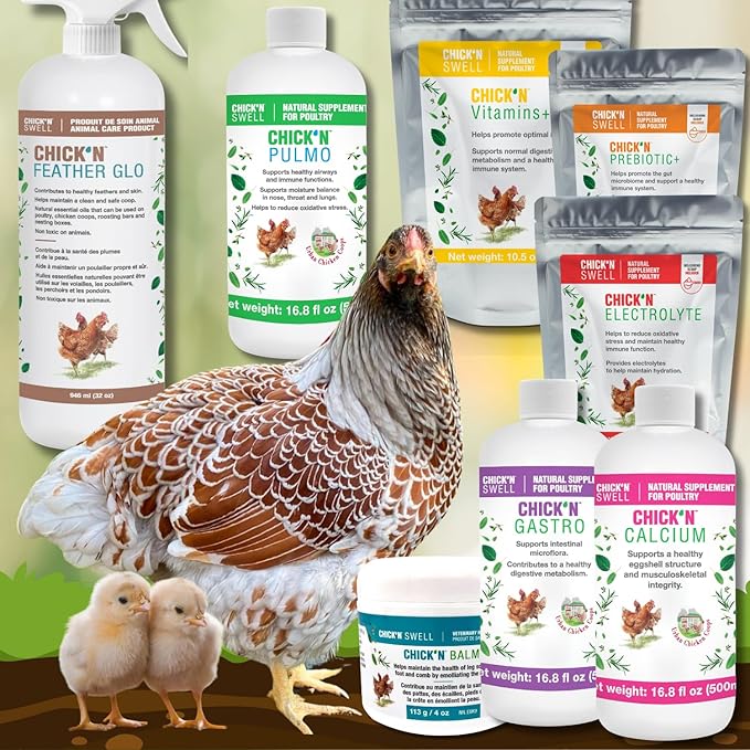 ChicK'N Swell Poultry Prebiotics from Chick'n Prebiotic+ | Supplement with Vitamins for Backyard Chickens and All Poultry of All ages-10.5 oz.