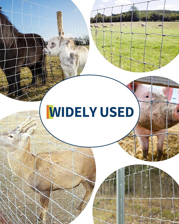 Farm Fence, 6FT x 328FT x 0.39IN White Welded Wire Fence Roll - Zinc Galvanized No-Climb Animal & Poultry Netting for Horses, Sheep, Chickens - Heavy Duty Yard Protection & Garden Grid Fencing