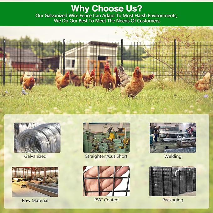 Wire Fence, 100 ft(L) X 36 in(H) PVC Coated Welded Wire Fencing 2" X 2" 16GA Garden Border Vinyl Metal Chicken Wire Fencing Mesh Roll for Yard Vegetable Plant Protection Poultry Netting Black