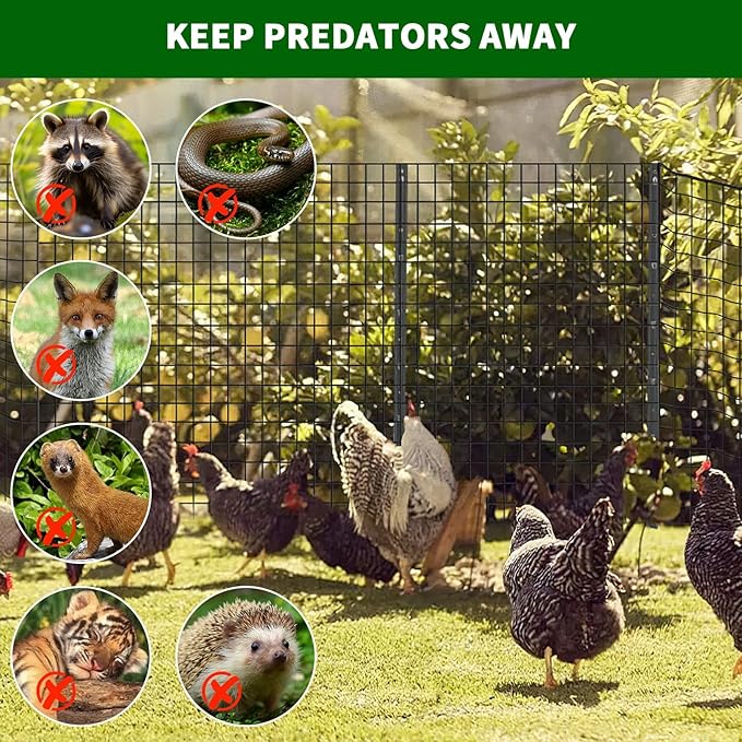 19 Gauge 1/2 Inch Hardware Cloth 72x100 Ft – Black Galvanized Steel Mesh | Chicken Wire Fence, Poultry Netting, Garden/Snake Protection & Tree Guard Rolled Fencing