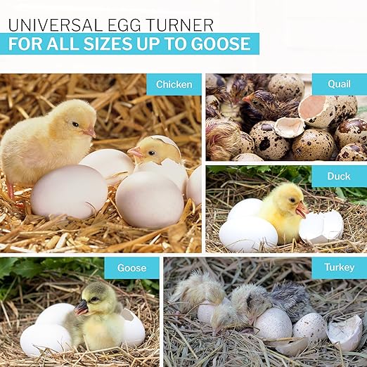 IncuView 3 Pro All-in-One Automatic Egg Incubator for Chicken Eggs (Universal)| Hatching Eggs | Automatic Egg Turner | Chick, Quail, Goose, Turkey