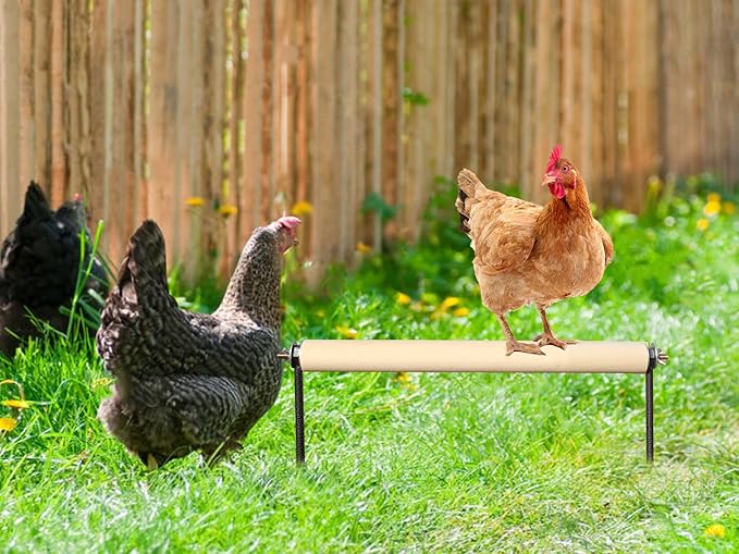 Chicken Perch Toys, Wooden Chick Perch Stand with Metal Ground Plug, Outdoor Birds Training Platform, Chicken Coop Accessories, Suitable for Poultry Rooster Chicks Large Birds Chicks Parrots