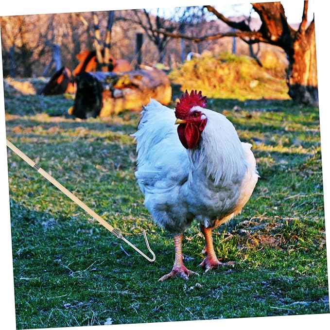 Chicken Catcher Tool for Poultry Handling Quick and Capture of Chickens Ducks and Geese Versatile Farm Equipment for Efficient Animal Management