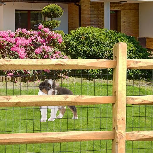 Black PVC Coated Welded Wire Fence 36 Inch x 50 Foot, 2 Inch x 3 Inch 16GA, Garden Border Fencing Roll Vinyl Coating Metal Wire Mesh for Yard Vegetable Plant Protection Poultry Netting