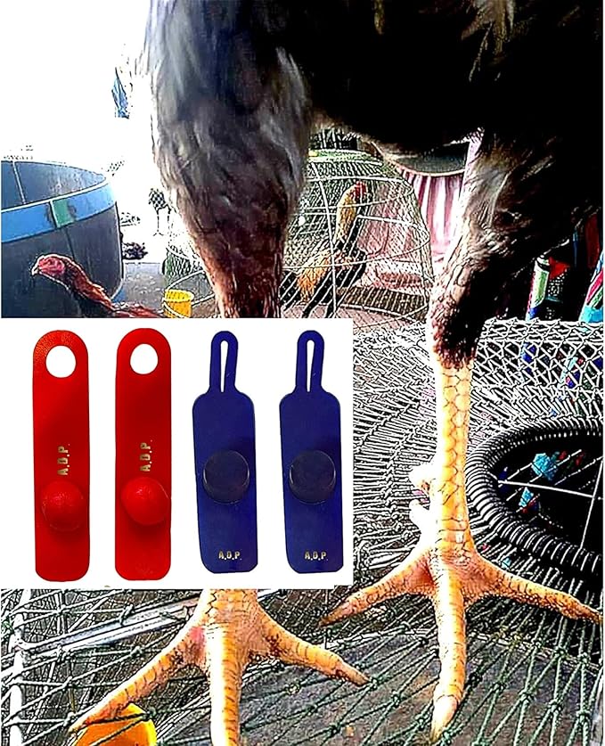 A.D.P. R5 2Pairs Red & Blue Color, Rooster Booster Chicken Mitt Safety Poultry Bird Botas para GALLOS BREEDING Supplies Leg Protect & Care, Best Rubber