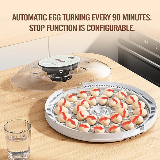 MeeF Egg Incubator for Hatching 28 Eggs, Auto Flip, Independent Atomizing Humidifier, with Duck and Goose Egg Trays (White)