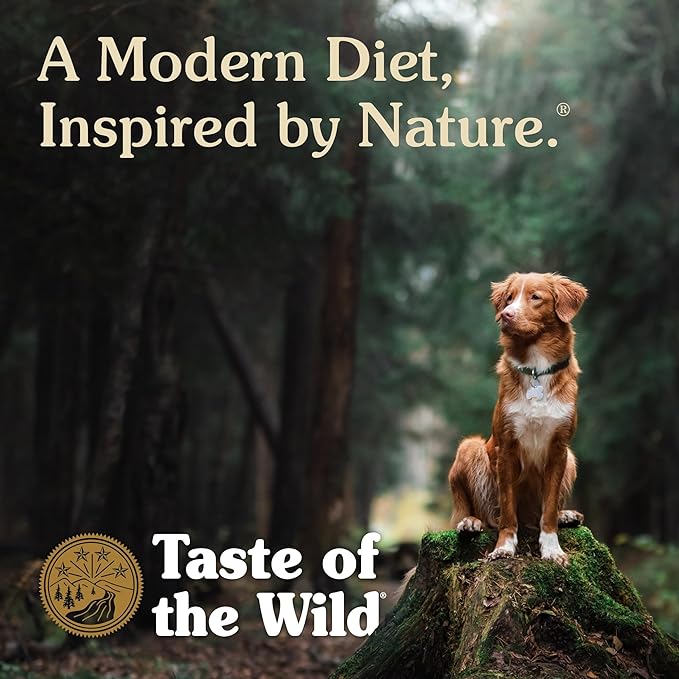 Taste of The Wild with Ancient Grains, Ancient Prairie Canine Recipe with Roasted Bison and Venison Dry Dog Food, Made with High Protein from Real Meat and Guaranteed Nutrients and Probiotics 14lb