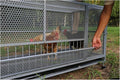 Chicken Cage Metal Poultry Breeding Coop With Pull-Out Trays Feeding Troughs And Wheels Chickens Coop Run Enclosure Pen For Yard Farm Small Animals Duck Ra(Size:150*60*73cm(59*23.6*28.7in),Color:Gray)