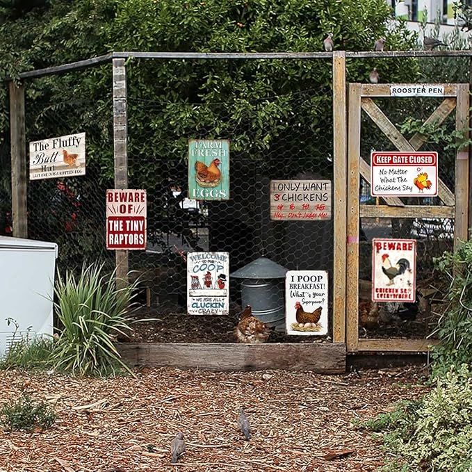 8 Pack Chicken Coop Accessories, Funny Chicken Coop Metal Signs Outdoor Decor Chickens Farm Personalized Tin Sign Chicken Gifts For Lovers House Decor 8×12 Inch