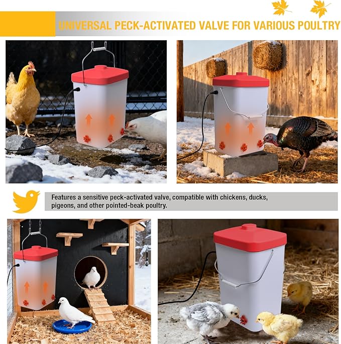 Heated Chicken Waterer 3 Gallon Poultry Water Heater with 4 Nipples Freeze Proof Chick Waterer Heater for Winter Chicken Turkey Pigeon Goose