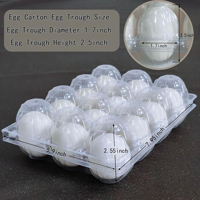 100 packs Egg Cartons Cheap Bulk, 3 * 4 extra large Clear plastic egg cartons for Family, Farm, Markets, Display