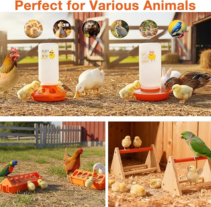 Chicken Feeder and Waterer Set,Automatic 1L Chick Feeder and Waterer with 2 Wooden Perch,Baby Chicks Supplies for Ducks,Quail,Small Poultry Coop Accessories