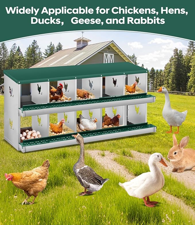 Chicken Nesting Box, 6/8/10 Compartment Metal Nesting Box,Wall Mount Chicken Nesting Boxes for Laying Eggs,Easy Egg Collection,6 Room Nest Boxes for Chickens