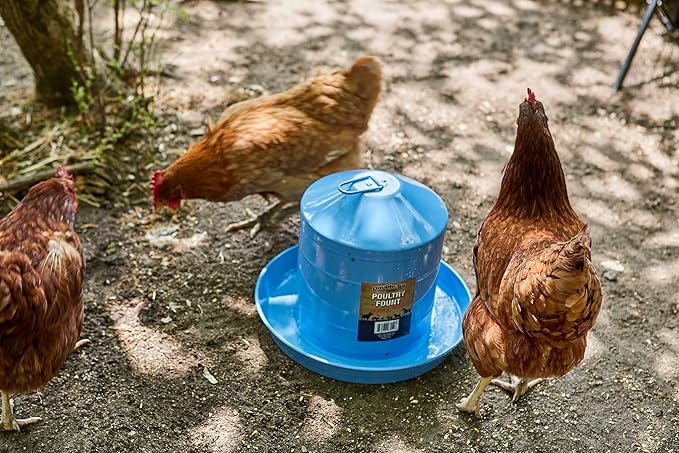 Double-Tuf® Painted Hanging Poultry Fount | 2 Gallons | Automatic Poultry Waterer | Easy to Use | Durable, Weatherproof and Lightweight