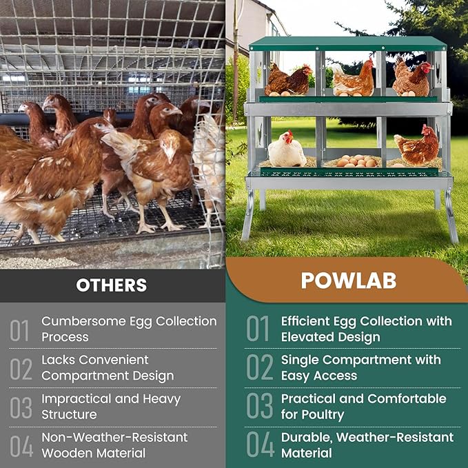 6 Compartment Chicken Nesting Box with Elevated Metal Legs - Heavy Duty Roll Away Egg Collection, Secure Lid & Perch - Versatile Wall Mount or Free Standing Design for Chickens, Hens, Ducks