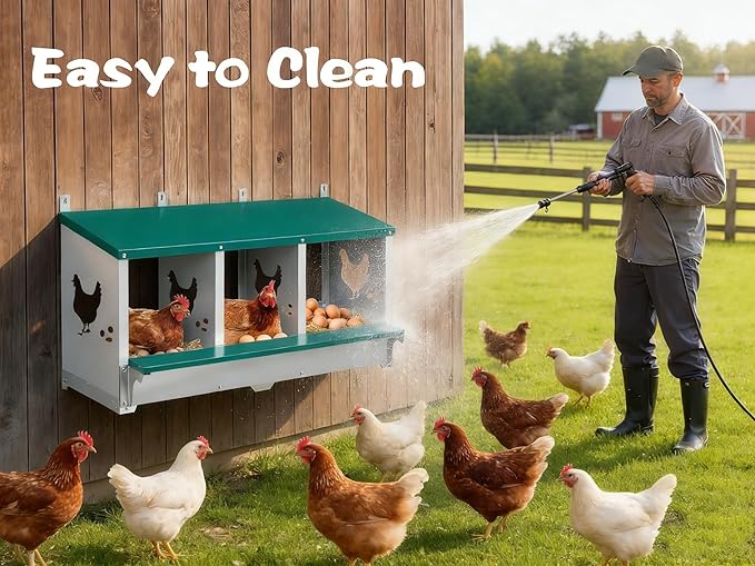 Chicken Nesting Box 3 Compartment with 10 Pet Moisture Pads and 4 Fake Eggs Roll Away Egg Collection, Perch, Lid Cover for Egg Protection - Wall Mount Nest Box for Chickens, Hens, Ducks