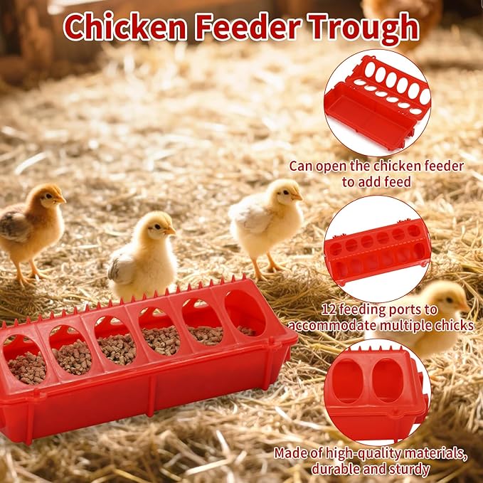 6 in 1 Chick Feeder and Waterer Kit with Wooden Perch,Baby Poultry Starter Set Includes 1.5L Chick Waterer Chicks Feeder Chick Perch for Small Poultry Chicks Ducks Quail Pigeons Birds