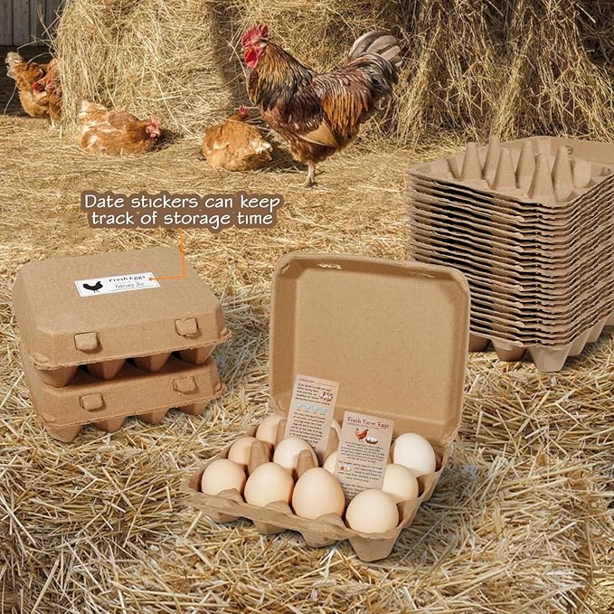 25 Pack Egg Cartons Bulk, 3×4 Style Reusable Empty Natural Paper Pulp Cardboard Egg Tray Holder Containers for Farmers, Home Use & Transport