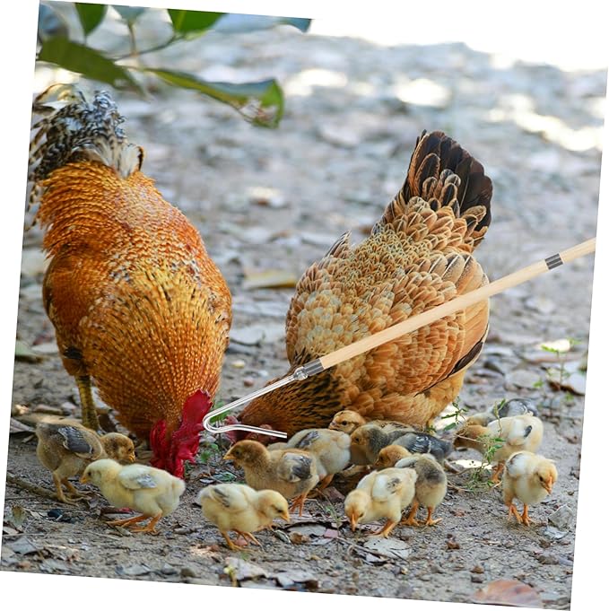 Totority Essential Farm Equipment Poultry Management Tool User-Friendly Chicken Catcher Trap Leg Hook for Catching Chickens Ducks