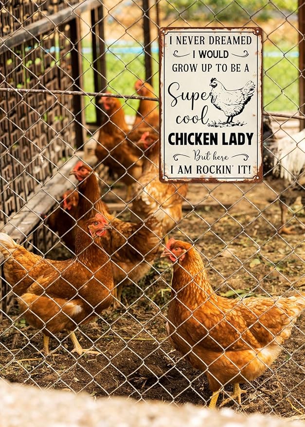 Vintage Metal Chicken Lady Sign - 8x12 Inch Wall Decor for Farmhouse & Chicken Coop