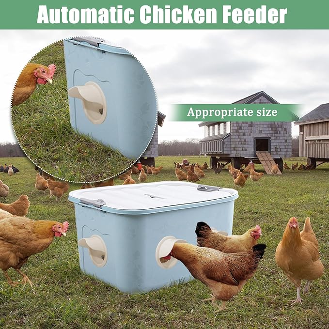 Chicken Feeder No Waste, 6 Ports Automatic Chicken Feeders with Hole Saw, Separate Feeding for Chickens, Poultry Pro Feeder Suitable for Buckets, Bins, Boxes, and Tanks