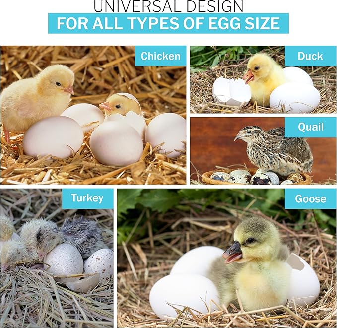 Incubator Warehouse IncuTurn™ Automatic Egg Turner for HovaBator Egg Incubators - Universal Hovabator Incubator Egg Turner Tray - Auto Egg Turner for 42 Chicken 70 Quail 28 Goose Eggs(Egg Turner ONLY)