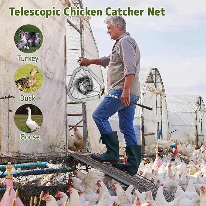 Adjustable Chicken Catching Net with Leg Hook – Stainless Steel Poultry Net, Fishnet,Suitable for Catching Outdoor Animals Such as Chickens, Ducks, Fishnet,Geese,Birds (2 Nets, 2 Pole Included)
