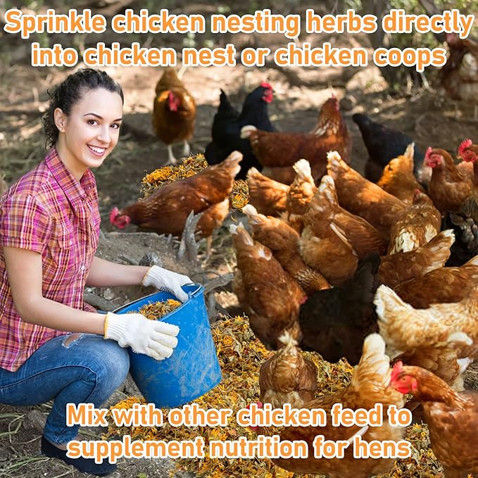 MAQIHAN 10oz Chicken Nesting Herbs - Dried Herb Layer Feed Coop and Run Insulation Roosting Bars for Box Pads Supplies Laying Hens Chicks Vacuum Packed Bedding Winter