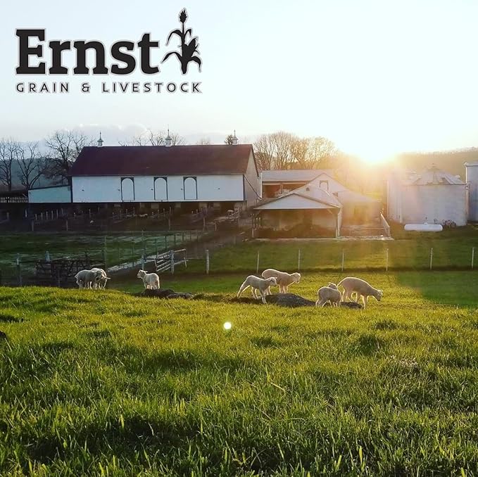Ernst Grain & Livestock Bird and Wildlife Feed – Perfect for Birds, Ducks, Squirrels, Turkeys, Rabbits, Geese, and Deer – Non-GMO Wild Animal & Bird Feed for Outside Feeders (10 Pounds)