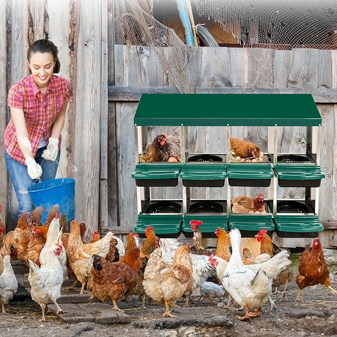 8-Hole Chicken Nesting Box, Roll Away Nest with Removable Tray, Easy Egg Collection & Cleaning, Wall-Mount Nesting Boxes for Hens, Chicken Coop - Green