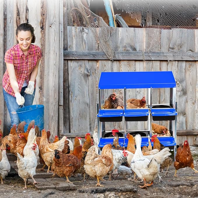6-Hole Chicken Nesting Box, Roll Away Nest with Removable Tray, Rustproof Galvanized Steel, Easy Egg Collection & Cleaning, Wall-Mount Design - Blue