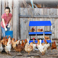 Nesting Boxes for Chickens, 6 Holes Chicken Nesting Box, Chicken Laying Boxes with Lid Cover, Roll Away Nesting Box for Chickens Laying Egg, with Metal Bracket, Blue