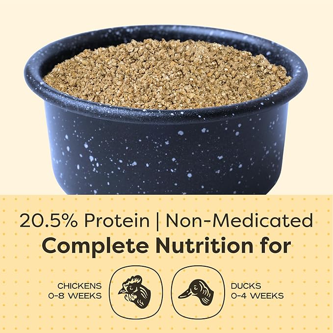 Scratch and Peck Feeds Whole Grain Starter Crumbles Chicken and Duck Feed - 10 lbs Bag - Corn-Free and Soy-Free - 20.5% Protein, Certified Organic and Non-GMO Project Verified Chicken Food