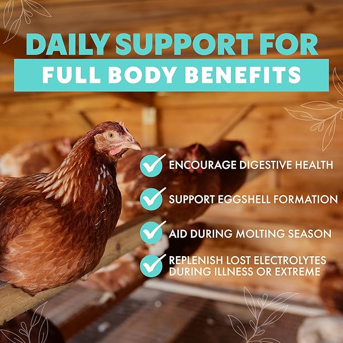 Fresh Eggs Daily Poultry Electrolyte Powder - Hydration Support Drink Mix with Probiotics for Chickens & Ducks - Natural Supplement for Environmental Challenges, Immune Health & Egg Quality - 8 Oz